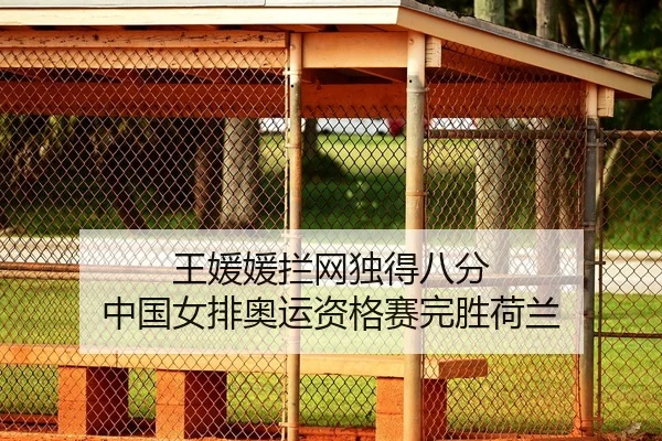 王媛媛拦网独得八分 中国女排奥运资格赛完胜荷兰